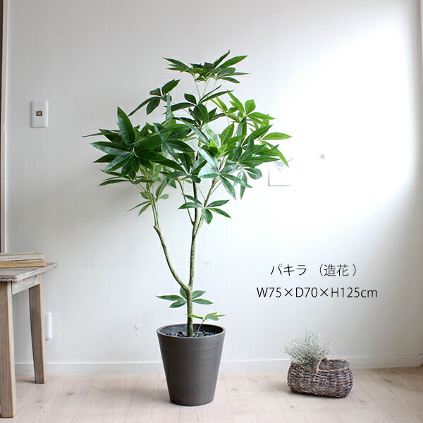 パキラ 125cm 黒鉢 造花 観葉植物 Ct触媒 大型 人工観葉植物 フェイクグリーン 重要 北海道 沖縄 送料別途 4000円 東北 送料別途 00円 開店祝い 引越し祝い 新築祝い お祝い 会社 事務所 自宅 ギフト Ceconsolidada Cl