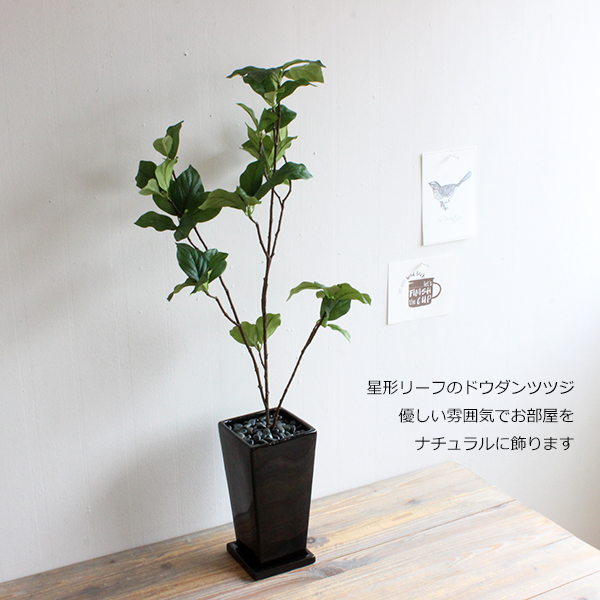 満点星 ドウダンツツジ 75cm 四角黒鉢 造花 観葉植物 インテリア フェイクグリーン 人工観葉植物 大型 Ct触媒重要 北海道 沖縄 送料別途 1500円 Rvcconst Com