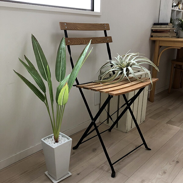 ストレチア 75cm 2本立 四角鉢 造花 インテリア 観葉植物 Ct触媒 フェイクグリーン 送料無料 北海道 沖縄 有料 Ocrmglobal Com