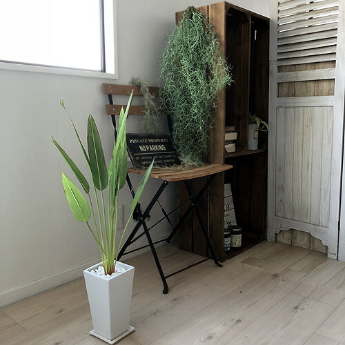 ストレチア 75cm 2本立 四角鉢 造花 インテリア 観葉植物 Ct触媒 フェイクグリーン 送料無料 北海道 沖縄 有料 Ocrmglobal Com