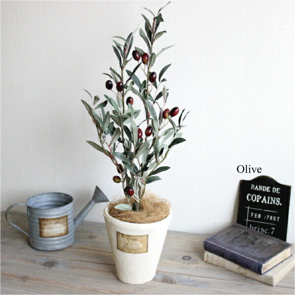 1584円 【在庫一掃】 オリーブ 53cm 造花 観葉植物 フェイクグリーン 人工観葉植物 消臭 CT触媒 抗菌 防カビ効果