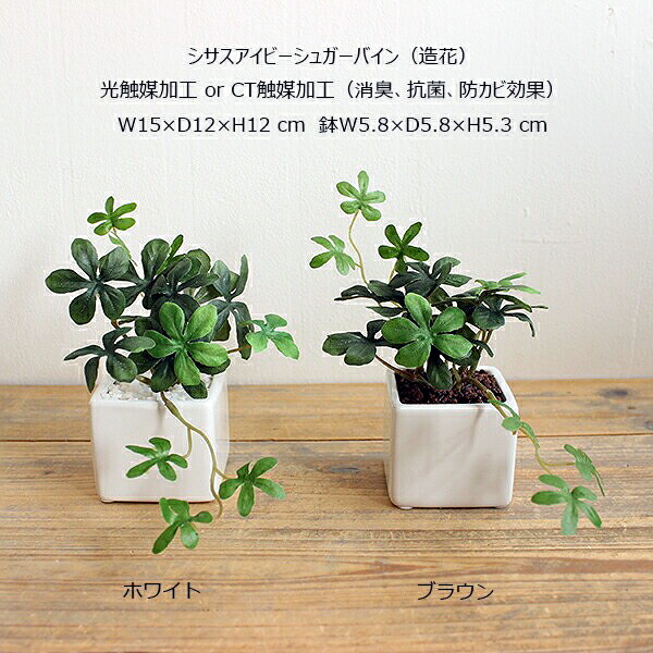 シュガーバイン シサスアイビープラント 観葉植物 造花 インテリア