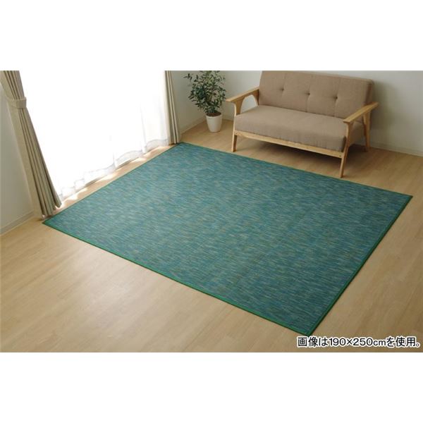 【P10倍　本日水曜定休日限定】 バンブー ラグマット/絨毯 （グリーン 約190×300cm） 竹製 無地 抗菌作用 高耐久性 〔リビング〕