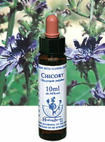 楽天市場】Healing Herbs ヒーリングハーブス ファイブフラワー