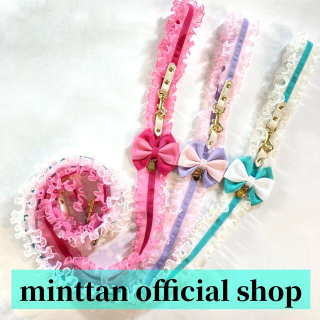 minttan ミントタン キャンディータックフリルリボン 先んじる 小型犬用 国産 犬具 大人気 好いたらしい 今めかしい