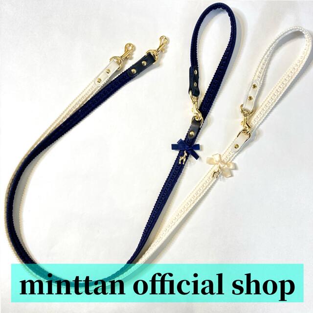 98%OFF!】 minttan フリルリボン カラーリードセット ienomat.com.br