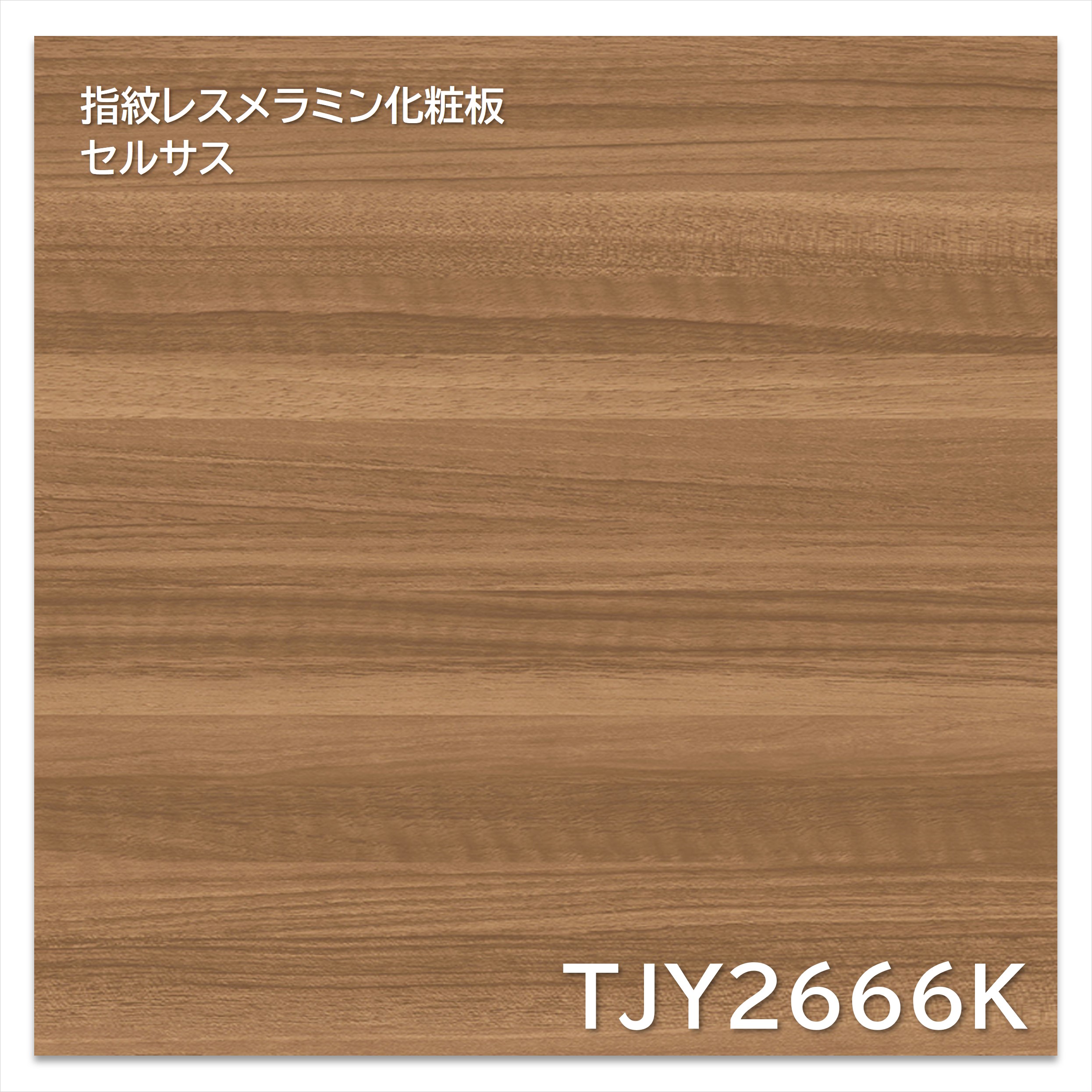 【楽天市場】アイカ メラミン化粧板 TJY2666K 4×8 1230×2450mm 指紋レス セルサス 木目 ウォールナット ヨコ追柾：建材 ...