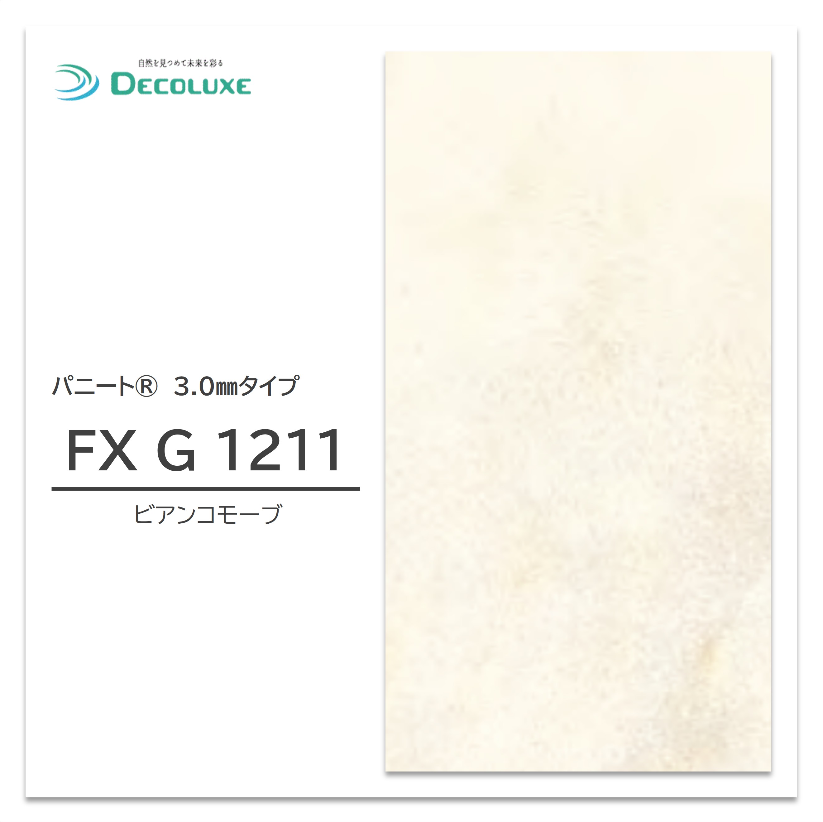 社会的運動案内書