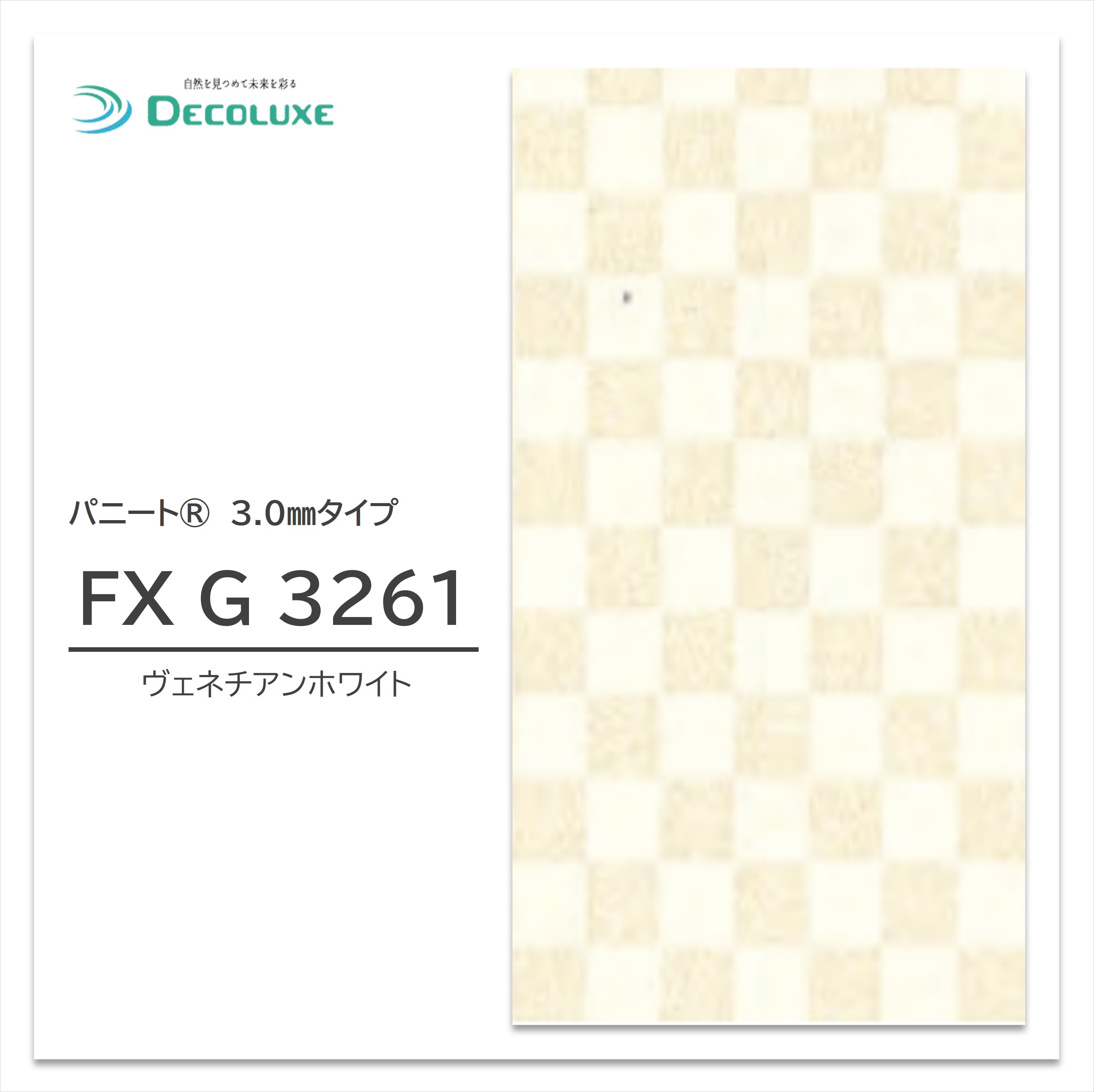 社会的運動案内書