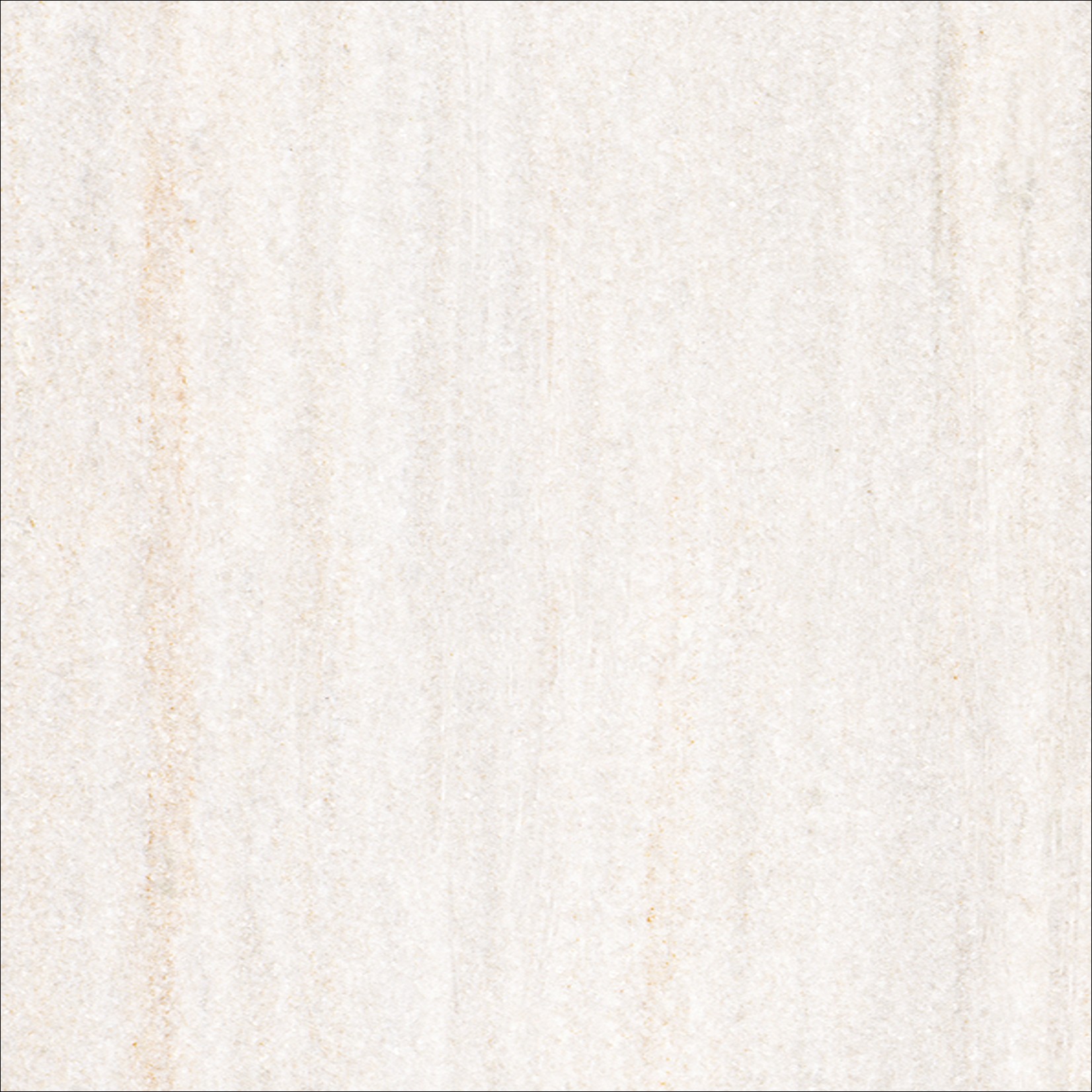 社会的運動知らせ 花・ガーデン・DIY-キッチン用設備-その他