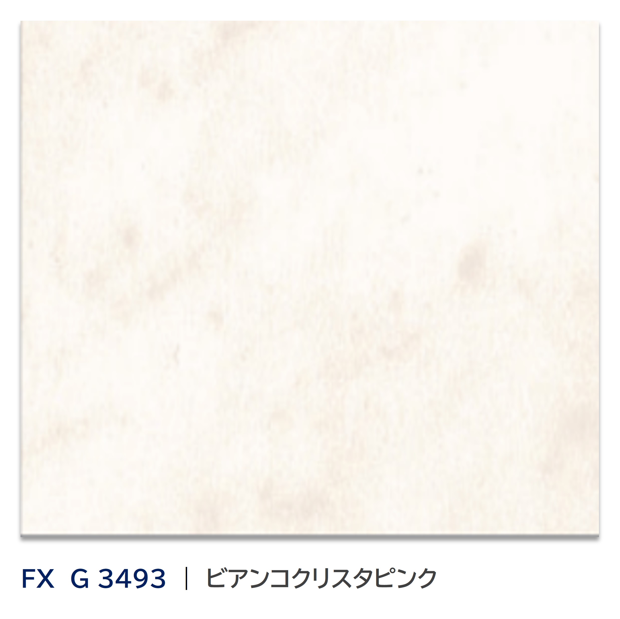 社会的運動案内書