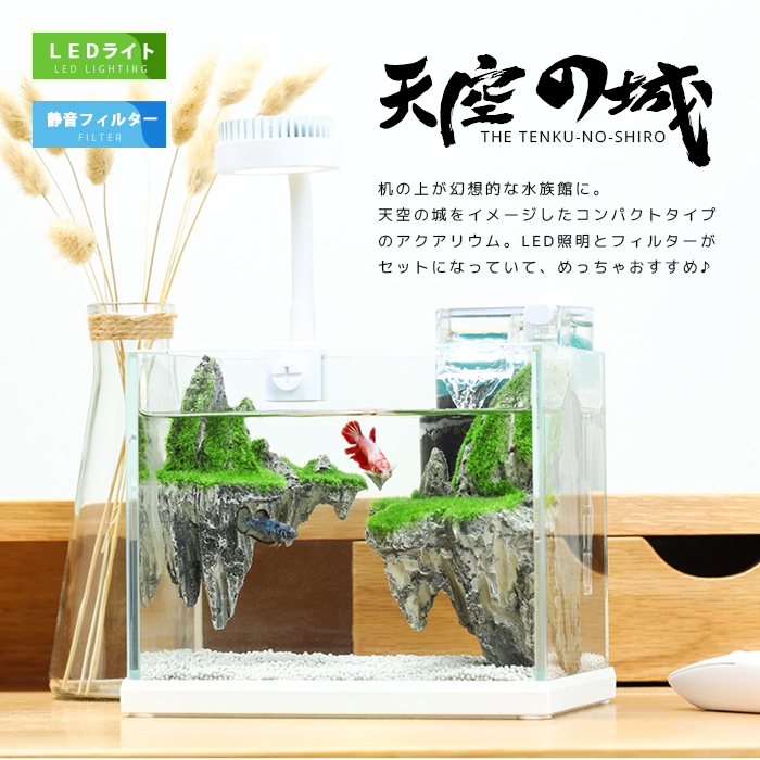 【SS継続期間5倍P】天の原の城 LEDともし火付き添い人海洋博物館 海洋博物館 こし器揚水機付き添い人 石 LED照明装置 金魚鉢 卓上 個体数水草 おすすめ すい其れは其れは 室内装飾 今めかしい 愛くるしげ 硝子 金魚 エビ 蛯 海老 メダカ 熱帯魚 不穏当練習曲 夏休み