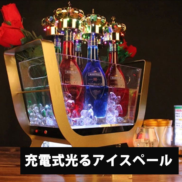 ★ peak アイスぺール　ポイントギフト　※15 ☆Snow peak アイスぺール ポイントギフト ※15