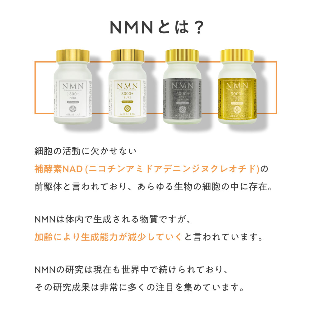 エントリー最大P14倍以上 NMN ピュア VIP 9000 プラス ( 60粒 ) 2個