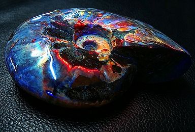 【新品】 天然石（原石） 数万個の中の一個★天然マダガスカル産 ★ 両面オパールアンモナイト 化石標本超巨大462ｇ★133ｍｍ D0432 ｜ディ・ヴィルト・ブリッジ