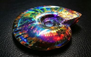 【新品】 天然石（原石） 数万個の中の一個★天然マダガスカル産 ★ 両面オパールアンモナイト 化石標本超巨大65ｇ★68ｍｍ D0447 ｜ディ・ヴィルト・ブリッジ