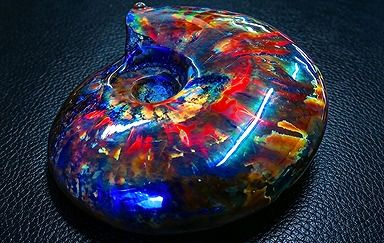 【新品】 天然石（原石） 数万個の中の一個★天然マダガスカル産 ★ 両面オパールアンモナイト 化石標本超巨大230ｇ★103ｍｍ D0449 ｜ディ・ヴィルト・ブリッジ 29,250円