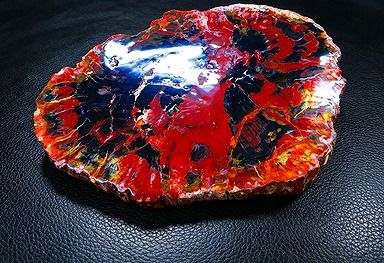 【新品】 天然石（原石） 天然化石珪化木両面研磨10000分の1三畳紀 標本 鉱物原石銘石インテリアオブジェ★超巨大1.015kg★220mm D625 ｜ディ・ヴィルト・ブリッジ