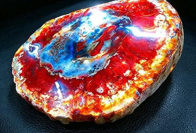 【新品】 天然石（原石） 天然化石珪化木両面研磨10000分の1三畳紀 標本 鉱物原石銘石インテリアオブジェ★超巨大1.18kg★220mm D628 ｜ディ・ヴィルト・ブリッジ