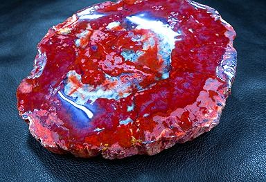 【新品】 天然石（原石） 天然化石珪化木両面研磨10000分の1三畳紀 標本 鉱物原石銘石インテリアオブジェ★超巨大1.56kg★230mm D639 ｜ディ・ヴィルト・ブリッジ