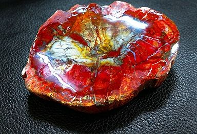 【新品】 天然石（原石） 天然化石珪化木両面研磨10000分の1三畳紀 標本 鉱物原石銘石インテリアオブジェ★超巨大500g★140mm D651 ｜ディ・ヴィルト・ブリッジ