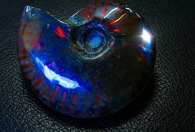 【新品】 天然石（原石） 数万個の中の一個★天然マダガスカル産 ★ 両面オパールアンモナイト 化石標本超巨大45ｇ★60ｍｍ D829 ｜ディ・ヴィルト・ブリッジ