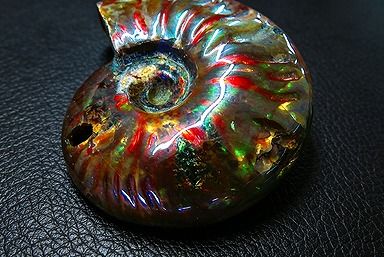 【新品】 天然石（原石） 数万個の中の一個★天然マダガスカル産 ★ 両面オパールアンモナイト 化石標本超巨大82ｇ★78ｍｍ D0768 ｜ディ・ヴィルト・ブリッジ 42,250円