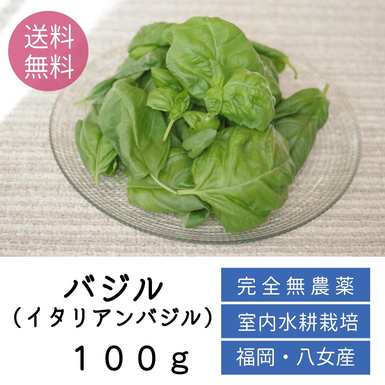 楽天市場】完全無農薬バジル 100g◇ 水耕栽培 無農薬 料理 バジル