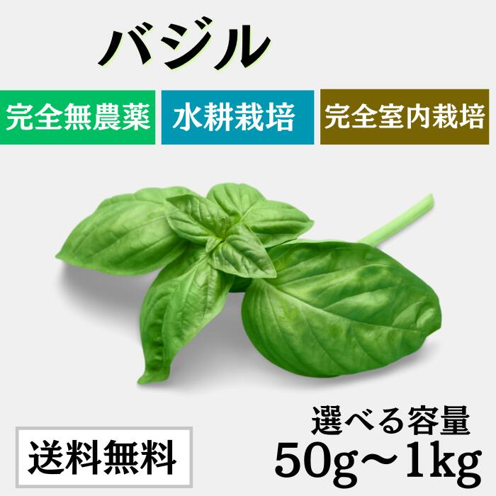 楽天市場】バジル 100g【送料無料】水耕栽培 料理 バジル basil