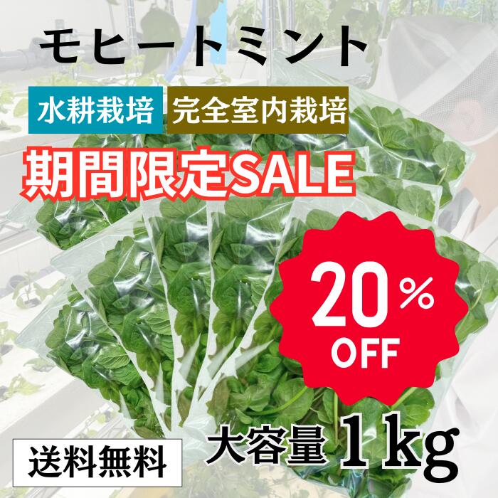 【期間限定】【20%OFF!!】モヒートミント1kg【送料無料】 国産 高品質 モヒート専用  モヒート イエルバブエナ ミント 生ミント  ハーブ ハーブティ 食用 プレゼント 観葉植物 栽培 料理 送料無料 ミントティー ミントティ カクテル フレッシュハーブ 水耕栽培 お酒 おしゃれ