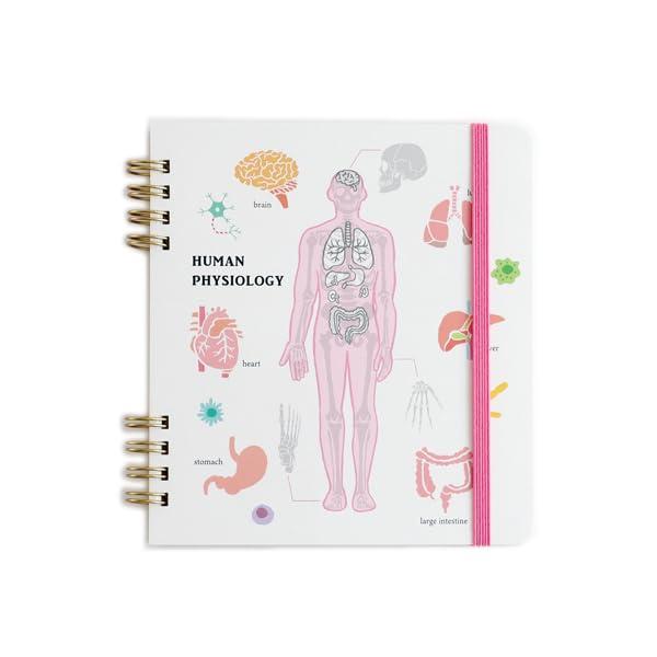 楽天市場】Twinkle Twinkle Be a Little Star ノート : POP MART