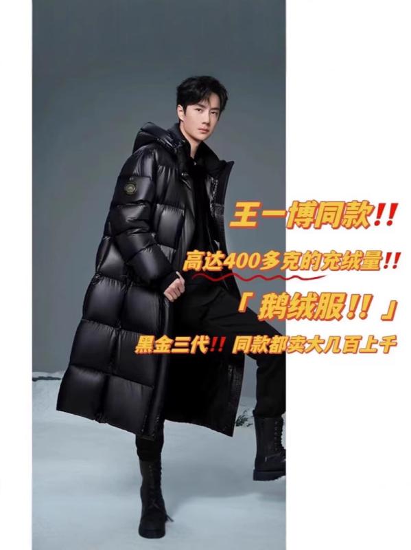 羽絨服 メンズ レディース ありの実  防寒 撥水 透湿 白鵝絨 86%~90% 加厚 連帽 ルーズフィット ポリエステル 黒 黒いこと 金 ゴールド