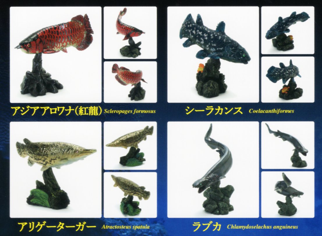 【楽天市場】いきもの大図鑑 ミニコレクション 古代魚 4種セット:アミュームショップ 楽天市場店