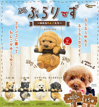 【楽天市場】ぶらぶらりーず ゆれるわんこたち 全5種セット コンプ コンプリートセット【2023年12月予約】：アミュームショップ 楽天市場店