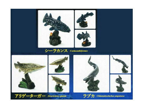 楽天市場】カプセルQ ミュージアム 有毒 危険 動物 大全 2 全5種