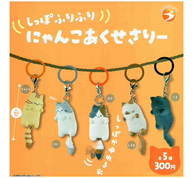 教育番組　タマセット　はかせセット　特典付き 教育番組 タマのおすすめ人気商品一覧 通販 - Yahoo!ショッピング