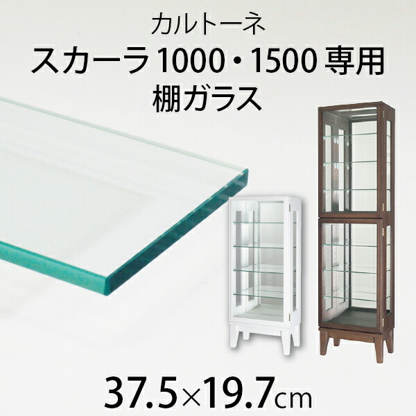 カルトーネ　スカーラ1000 ガラスケース Amazon | 塩川光明堂 コレクションケース カルトーネ スカーラ