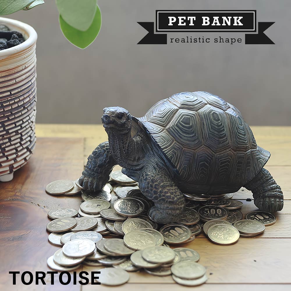 楽天市場 Pet Bank ペットバンク リクガメ リアルな動物の貯金 コインバンク ゾウガメ カメ 亀 爬虫類 かわいい Irodori