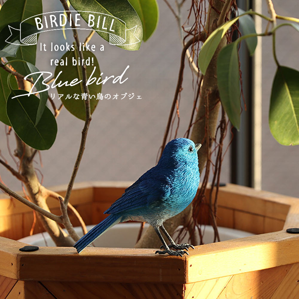 楽天市場 Birdie Bill リアルな鳥のオブジェ ブルーバード Blue Bird バーディ ビル 青い鳥 マグネット 磁石 置物 動物 メッセージバード リアルアニマルズ かわいい 小鳥 Irodori