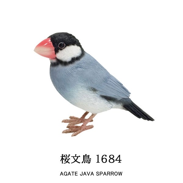 楽天市場 Sale10 Off Birdie Billバーディ ビル リアルな鳥のオブジェ桜文鳥 白文鳥 Agate Java Sparrowwhite Java Sparrow鳥 マグネットメッセージバードリアルアニマルズ Irodori