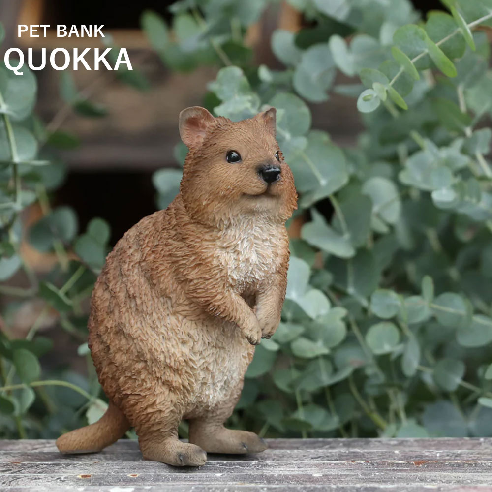 楽天市場 Sale10 Off リアルな動物の貯金箱pet Bank ペットバンク クアッカ Quokkaアニマル コインバンク Irodori