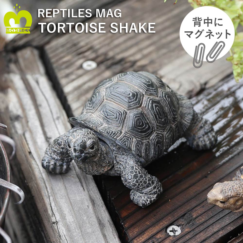 楽天市場 Reptiles Magtortoise Shake リアルオブジェクリップホルダー Tortoise Shake亀 カメ リクガメ Irodori