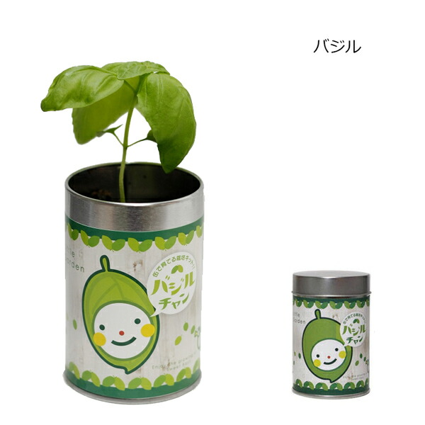 市場 Sale10 Off 屋内栽培キット ヒマワリ コリアンダー ミニトマト ムライタケシデザイン バジル リトルガーデン ワイルドストロベリー