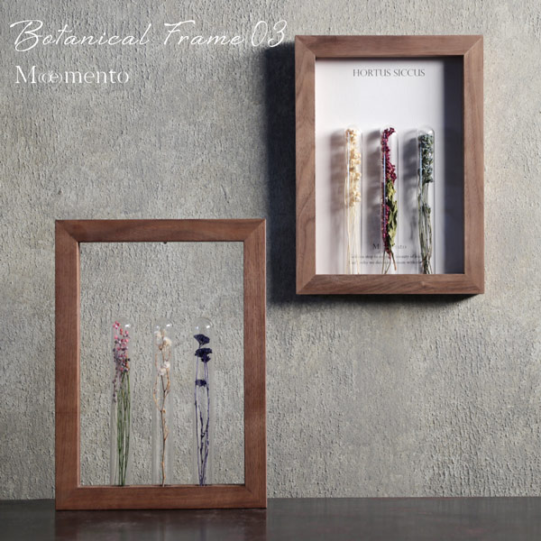 楽天市場】Moemento 「BOTANICAL FRAME 04」オフホワイト 植物標本