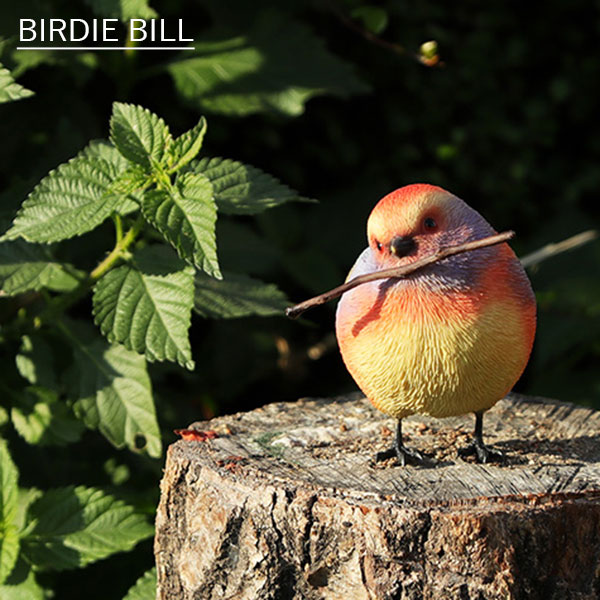 楽天市場】BIRDIE BILL「リアルな鳥のオブジェ ブルーバード」 BLUE BIRD バーディ ビル 青い鳥 マグネット 磁石 置物 動物  メッセージバード リアルアニマルズ 小鳥 : irodori