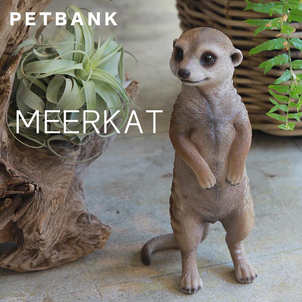 楽天市場】ミーアキャット 置物 ペットバンク Pet Bank Meerkat ミーア