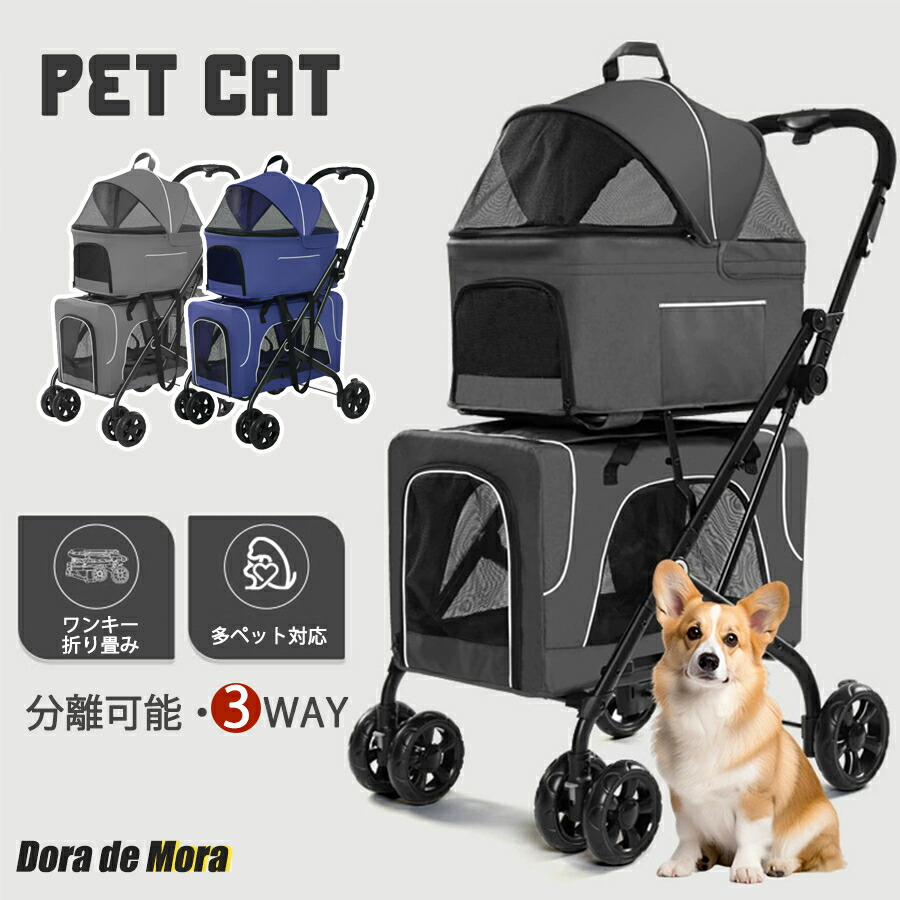? 6月百貨店SALE 執り行なう中！?