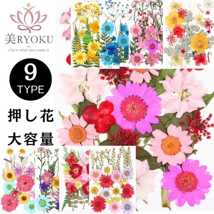 楽天市場】押し花 ドライフラワー レジン アクセサリー 花材