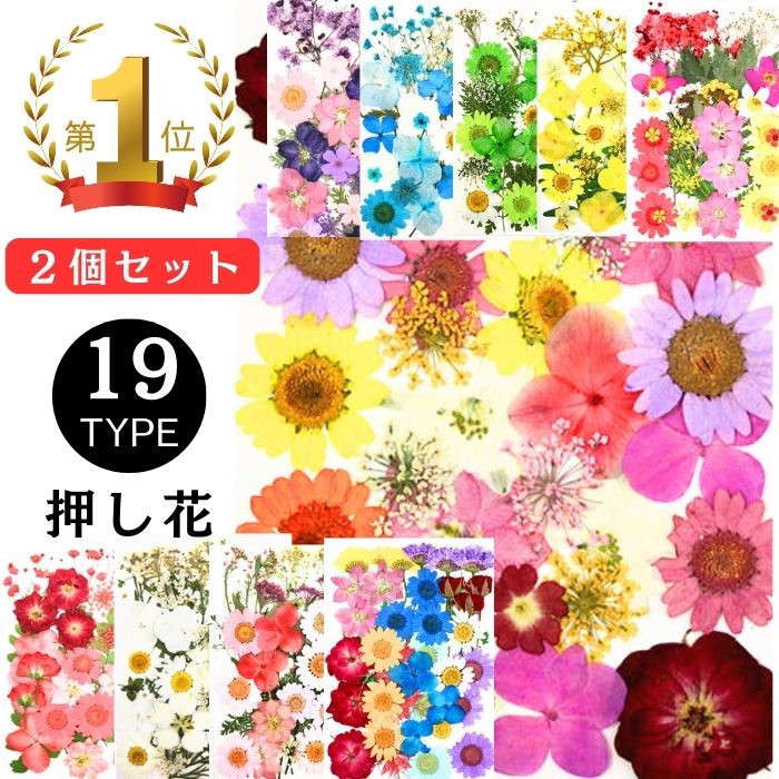 【楽天市場】【お年玉付き】レジン アクセサリー ドライフラワー 花