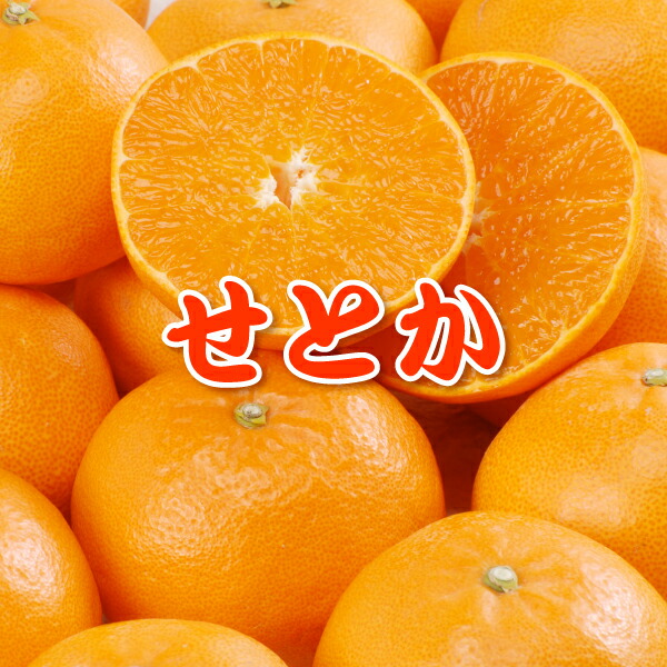 とか みかん せ